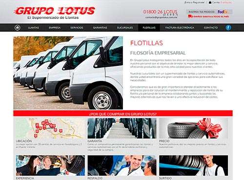 Grupo Lotus