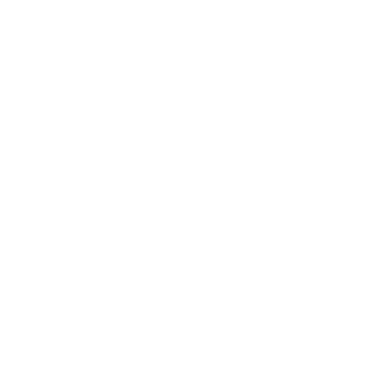 Grupo Lotus