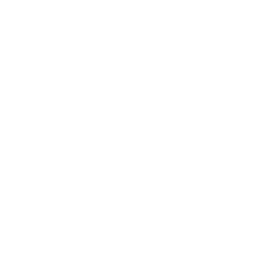 Bigol Bagel