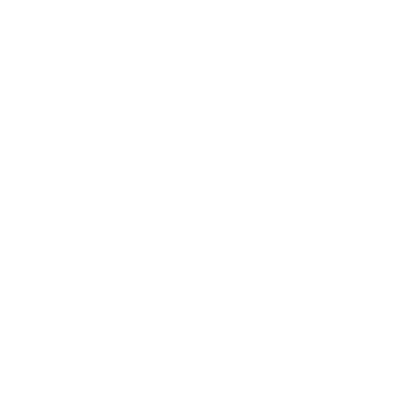 Pata de Elefante