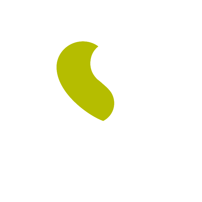 Organización Soriana
